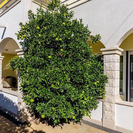 Apartments Palm Tree Trogir Exterior foto